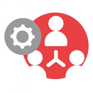 Organización interna y tareas de equipo